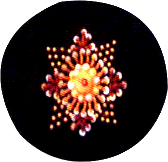 Product Details